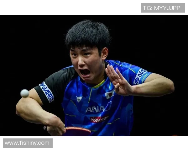 张本智和与波尔精彩对决全程录像回放分析与精彩瞬间集锦