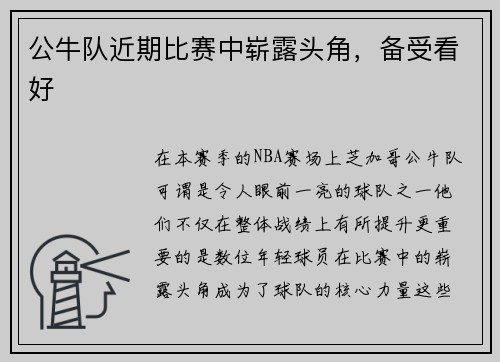 公牛队近期比赛中崭露头角，备受看好