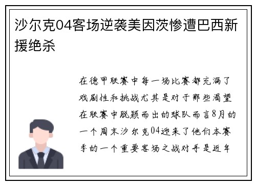 沙尔克04客场逆袭美因茨惨遭巴西新援绝杀