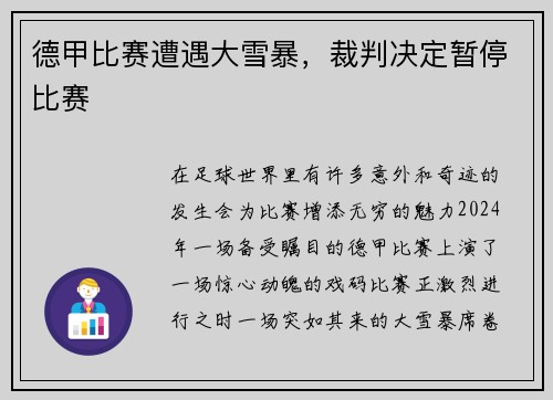 德甲比赛遭遇大雪暴，裁判决定暂停比赛