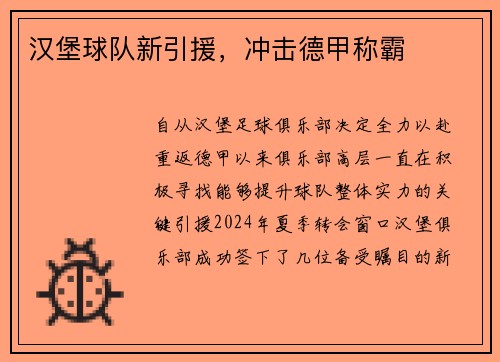 汉堡球队新引援，冲击德甲称霸
