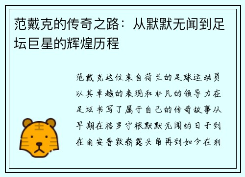 范戴克的传奇之路：从默默无闻到足坛巨星的辉煌历程