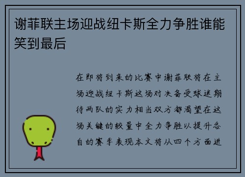 谢菲联主场迎战纽卡斯全力争胜谁能笑到最后